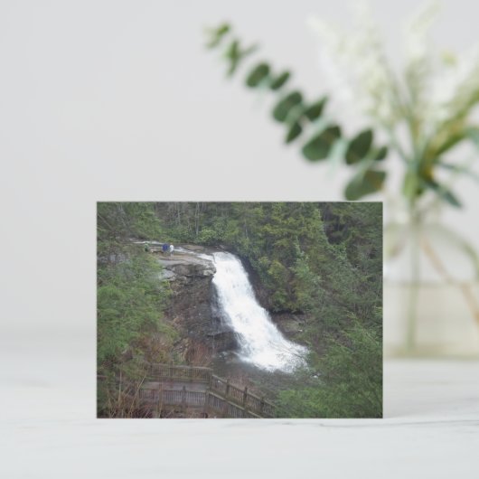 Carte Postale chute d'avaler (Debout devant)