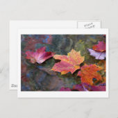 Carte Postale chute de la ligne (Devant / Derrière)