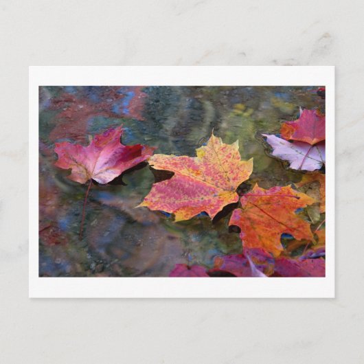 Carte Postale chute de la ligne (Devant)