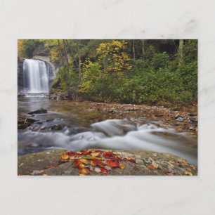 Carte Postale chute de Looking Glass dans le Pisgah National