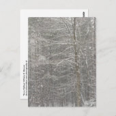 Carte Postale Chute de neige (Devant / Derrière)