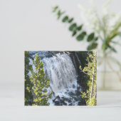 Carte Postale Chute d'eau de Yellowstone (Debout devant)