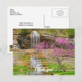 Carte Postale Chute d'eau des Ozarks Spring Bluff (Devant / Derrière)
