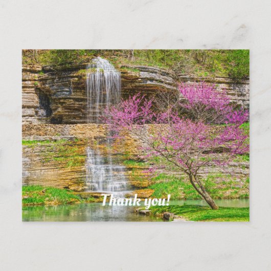 Carte Postale Chute d'eau des Ozarks Spring Bluff (Devant)