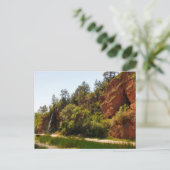 Carte Postale Chute d'eau et sentier, sources chaudes, Dakota du (Debout devant)