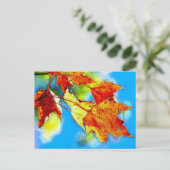 Carte Postale Chute des Feuilles (Debout devant)