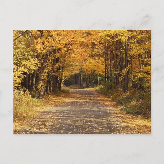 Carte Postale Chute des Feuilles | Automne Accueil Cadeaux (Devant)