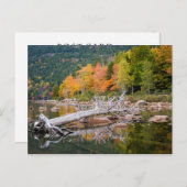 Carte Postale Chute du Maine (Devant / Derrière)