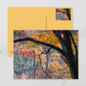 Carte Postale Chute en amour/Couleurs d'automne (Devant / Derrière)