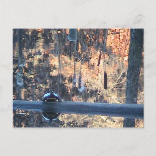 Carte Postale Chute en Ohio (Devant)