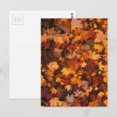 Carte Postale chute-feuillage-111315 CHUTE AUTOMNE FEUILLES COUL (Devant / Derrière)