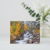 Carte Postale Chute le long de Bishop Creek, Californie (Debout devant)