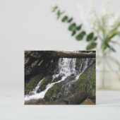 Carte Postale Chutes à Redwood State Park (Debout devant)