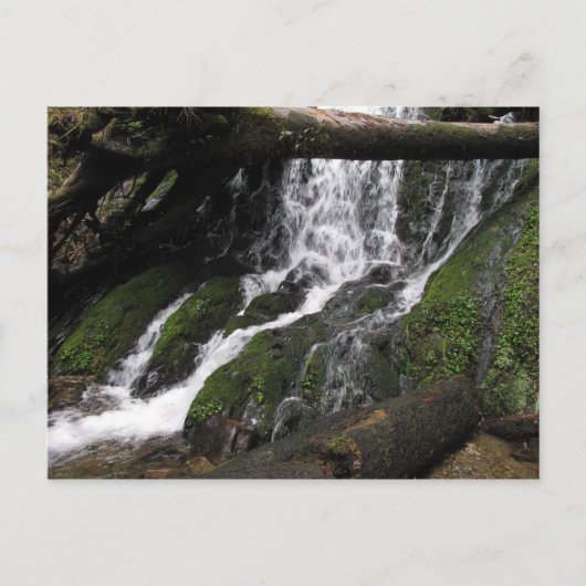 Carte Postale Chutes à Redwood State Park (Devant)