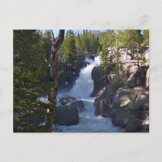 Carte Postale Chutes Alberta I (Devant)