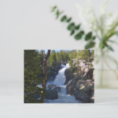 Carte Postale Chutes Alberta I (Debout devant)