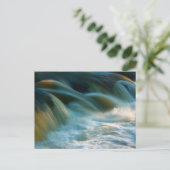 Carte Postale Chutes Cenarth (Debout devant)