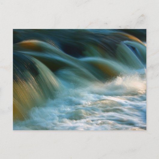 Carte Postale Chutes Cenarth (Devant)