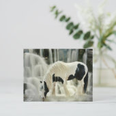 Carte Postale chutes, cheval, rivière, belle vue (Debout devant)