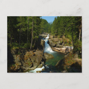 Carte Postale Chutes d'argent au parc national du mont Rainier