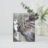 Carte Postale Chutes d'Athabasca (Debout devant)