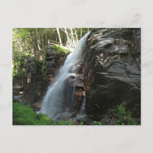 Carte Postale Chutes d'Avalanche (Devant)