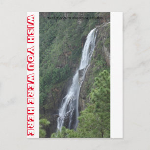 CARTE POSTALE CHUTES DE 1 000 PIEDS