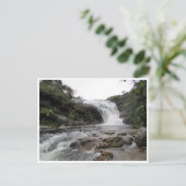 Carte Postale chutes de boulanger (Debout devant)