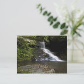 Carte Postale Chutes de Catawba (Debout devant)