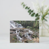 Carte Postale Chutes de Chiang Mai Thaïlande (Debout devant)