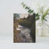 Carte Postale Chutes de Clyde (Debout devant)