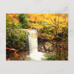 Carte Postale Chutes de concombre Couleurs d'automne