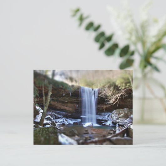 Carte Postale Chutes de concombre - Hiver (Debout devant)