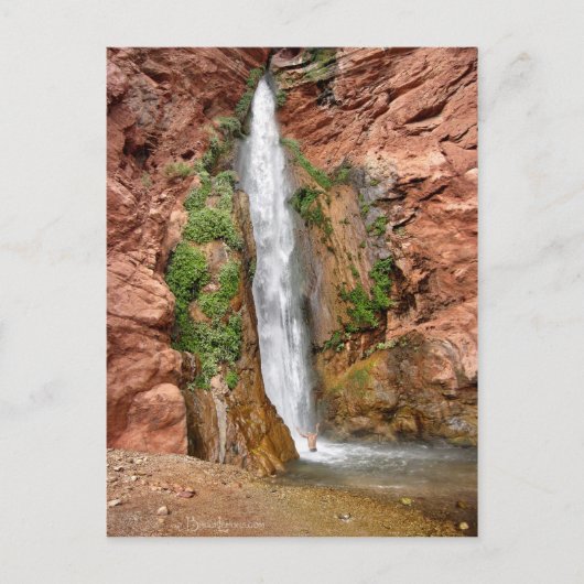 Carte Postale Chutes de Deer Creek - Grand Canyon - Cascade (Devant)