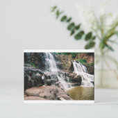 Carte Postale Chutes de Gooseberry (Debout devant)