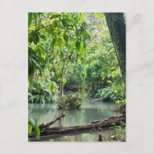Carte Postale Chutes de Khoung Si, Lac Forestier, Laos