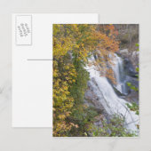 Carte Postale Chutes de la rivière Bald (Devant / Derrière)