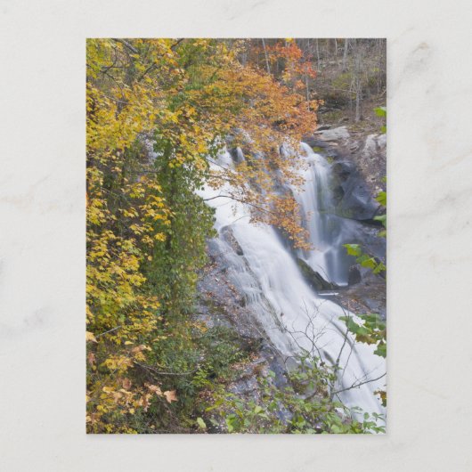 Carte Postale Chutes de la rivière Bald (Devant)