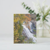 Carte Postale Chutes de la rivière Bald (Debout devant)