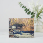 Carte Postale Chutes de Linville (Debout devant)