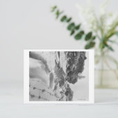 Carte Postale Chutes De Minnekahta Près Des Sources D'Eau Chaude (Debout devant)