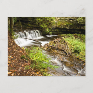 Carte Postale Chutes de moustiques