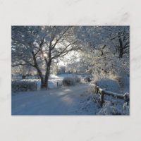 Chutes de neige hivernales
