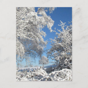 Carte Postale Chutes de neige hivernales
