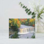 Carte Postale Chutes de Tahquamenon (Debout devant)