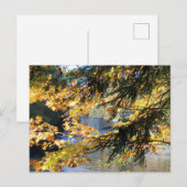 Carte Postale Chutes de Tahquamenon (Devant / Derrière)
