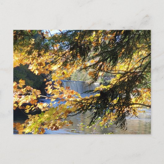 Carte Postale Chutes de Tahquamenon (Devant)