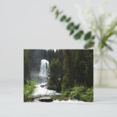 Carte Postale Chutes de Virginie au parc national Glacier (Debout devant)