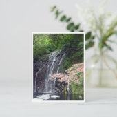 Carte Postale chutes d'eau de hakone (Debout devant)