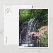 Carte Postale chutes d'eau de hakone (Devant / Derrière)